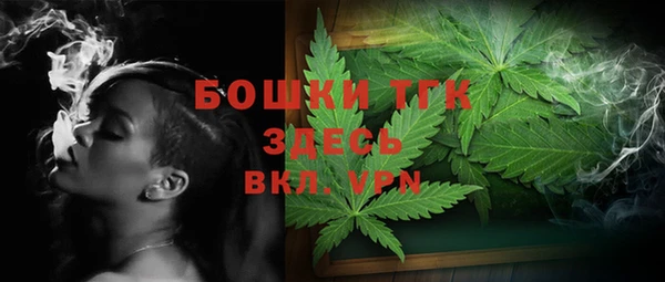 амф Вяземский