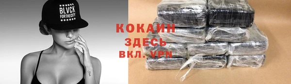амф Вяземский