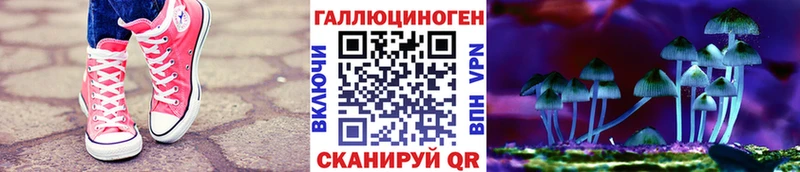 Купить  Петров Вал  Псилоцибиновые грибы MAGIC MUSHROOMS 